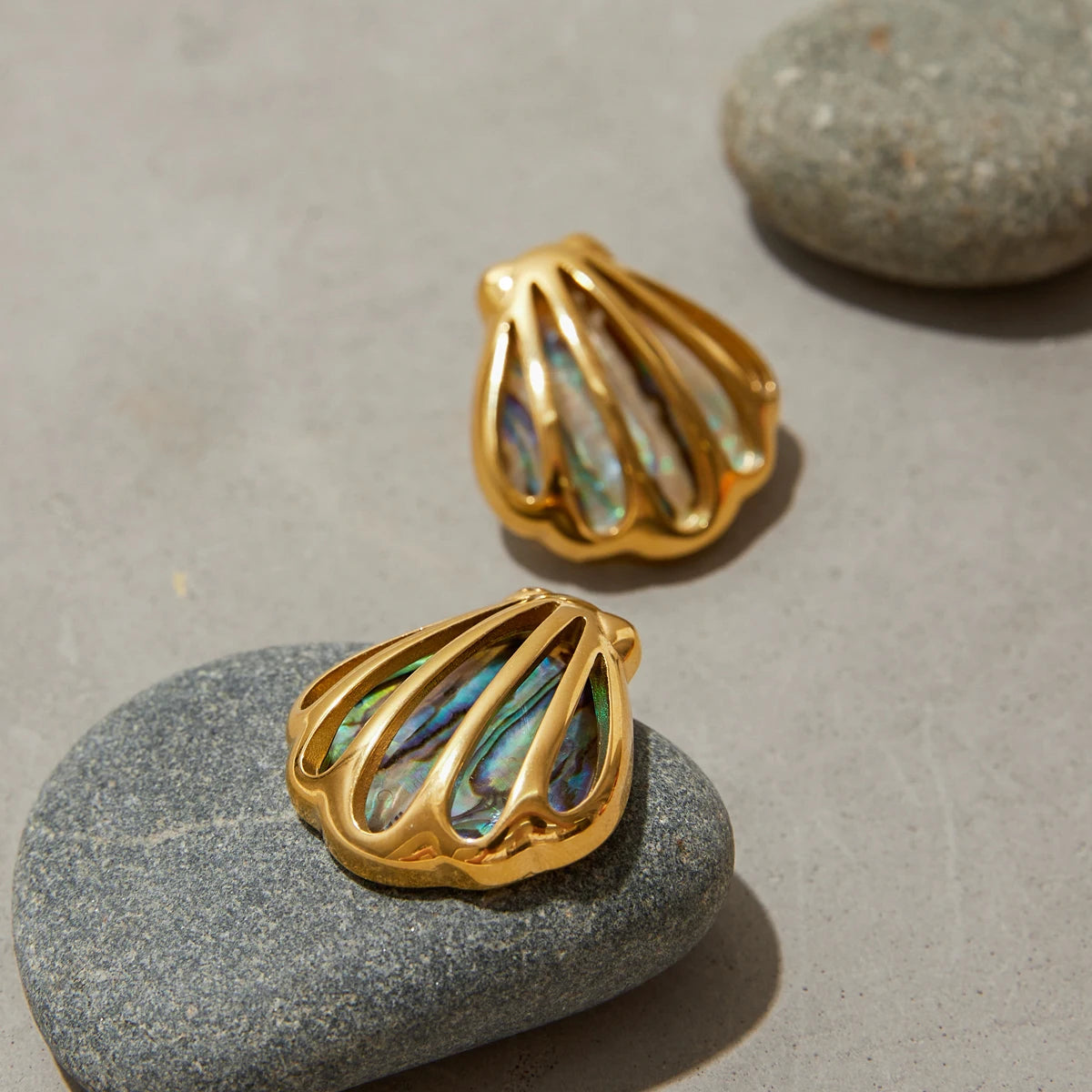 Ocean Shell
