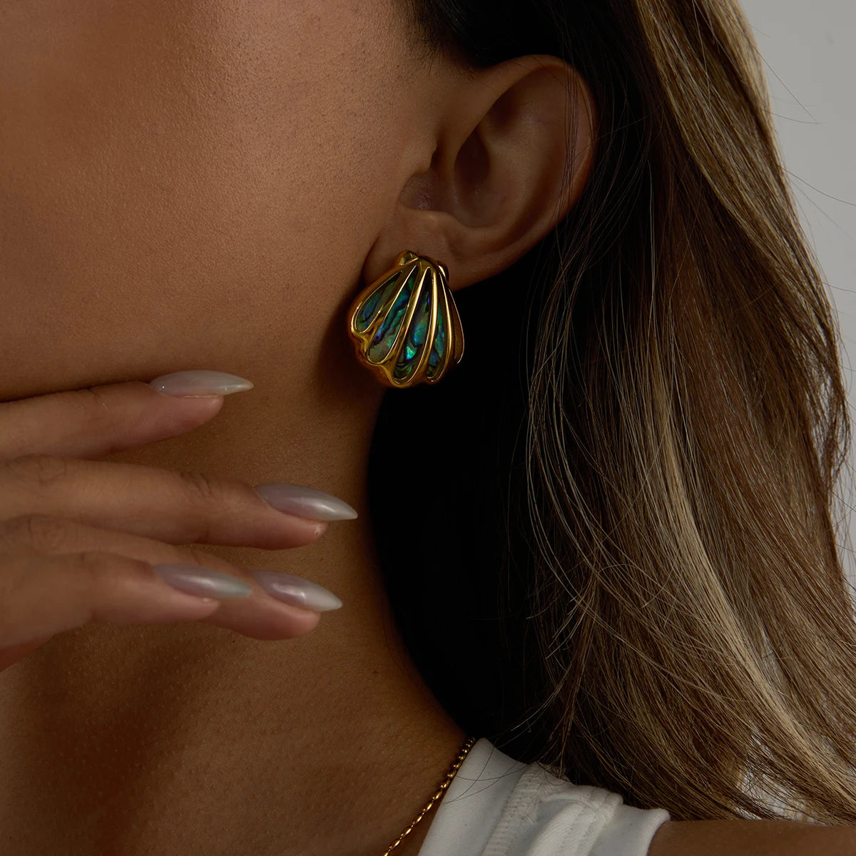 Ocean Shell